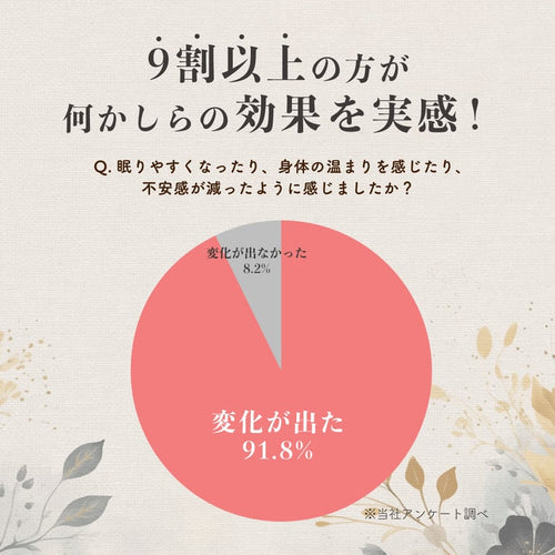 【anan掲載】整体茶　晴れ　28袋