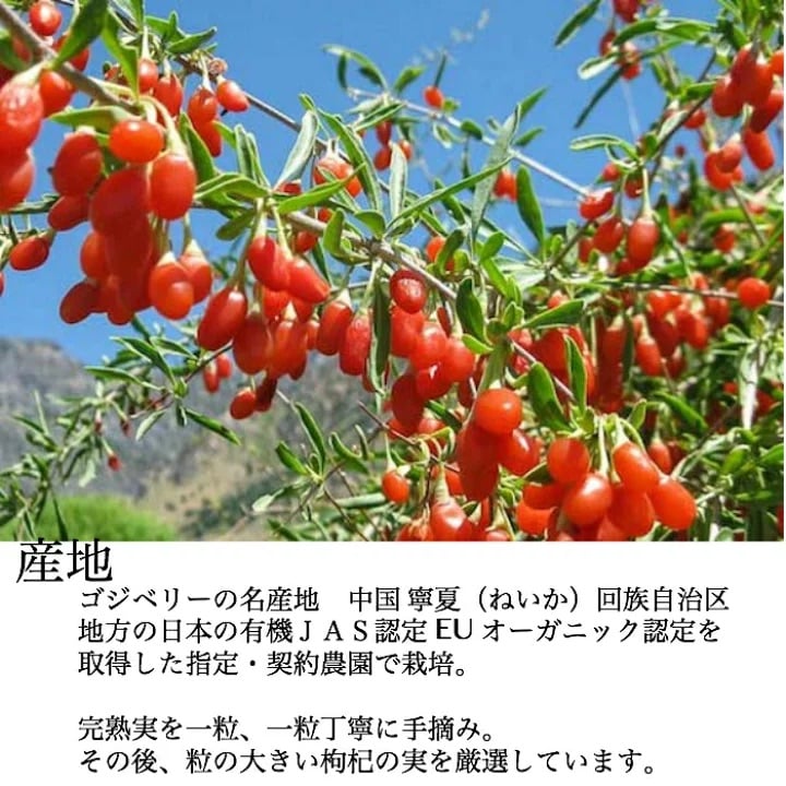 有機クコの実　整体茶のお供に