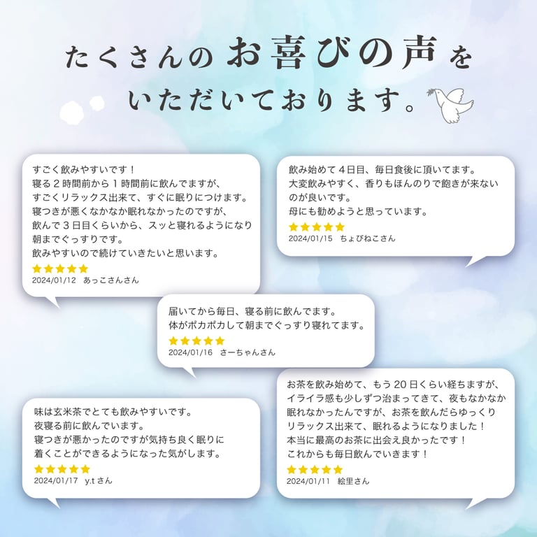 【anan掲載】整体茶　晴れ　28袋