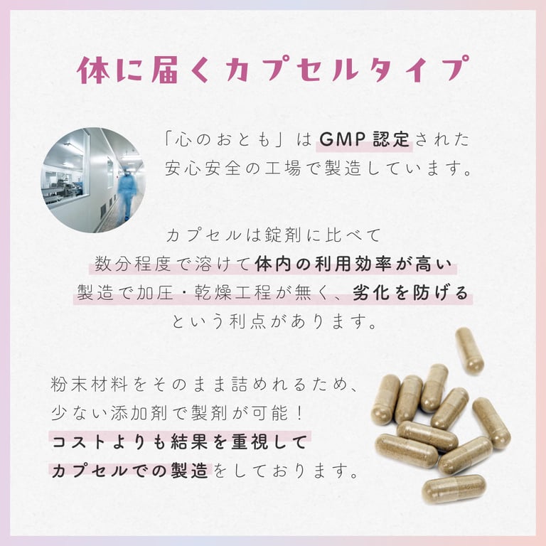心のおとも　90粒