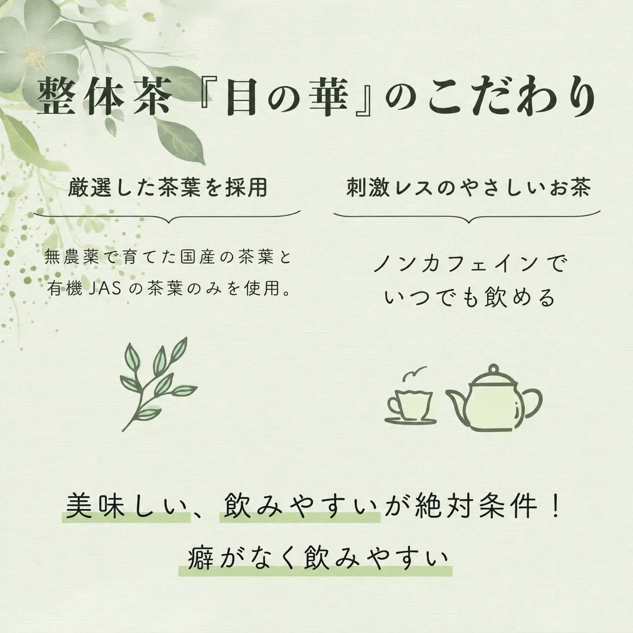 整体茶 目の華 商品画像4