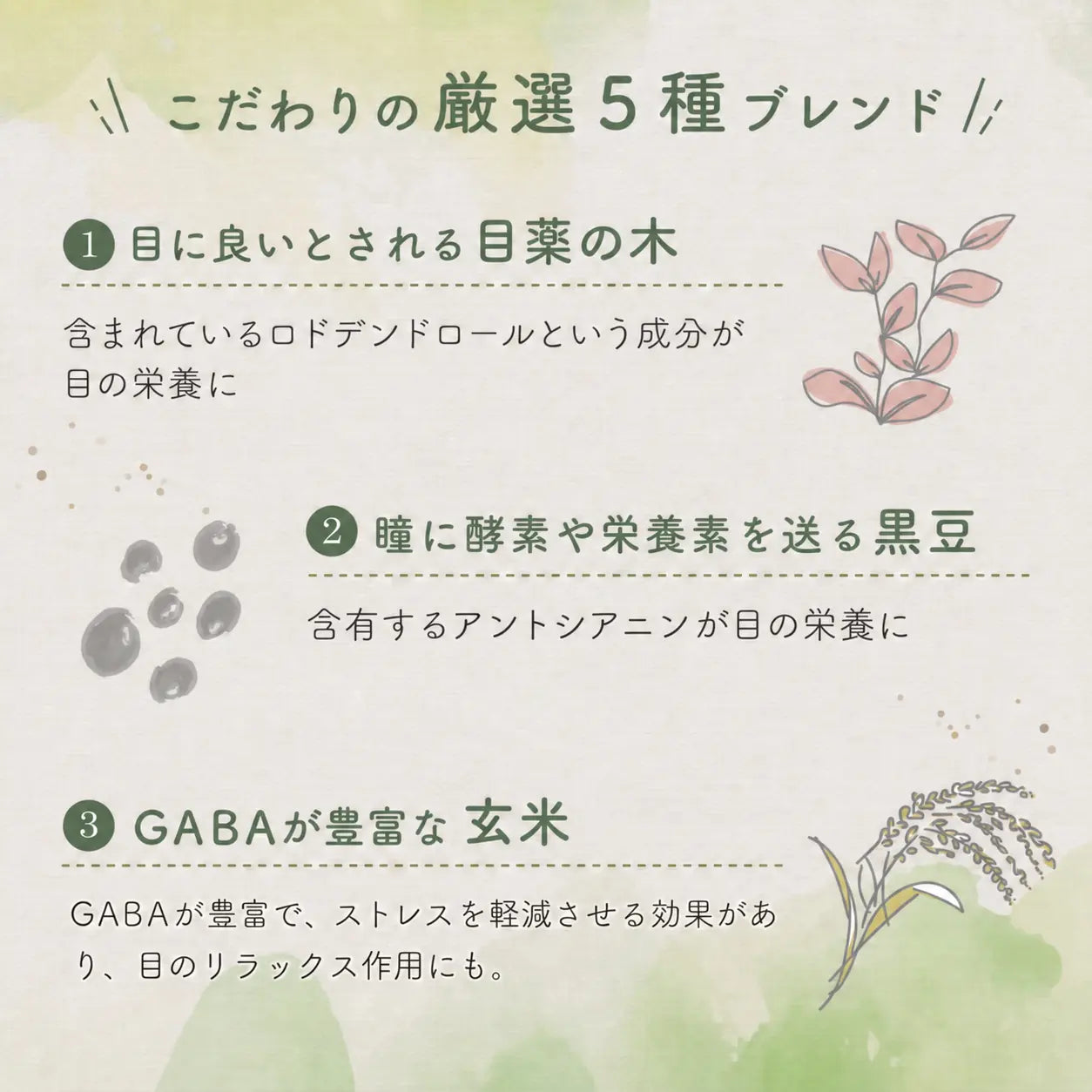 整体茶 目の華 商品画像5