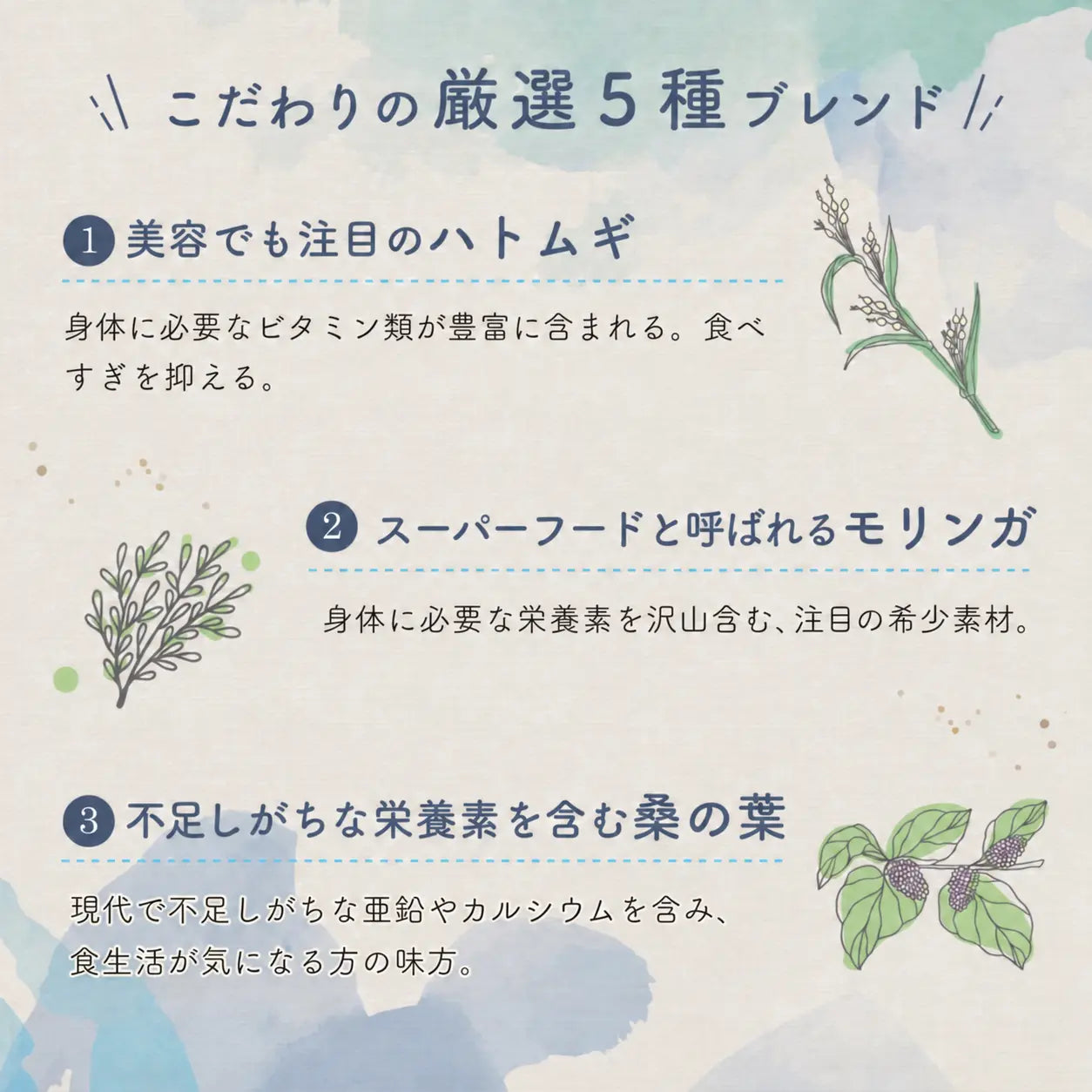整体茶 蒼々 商品画像5